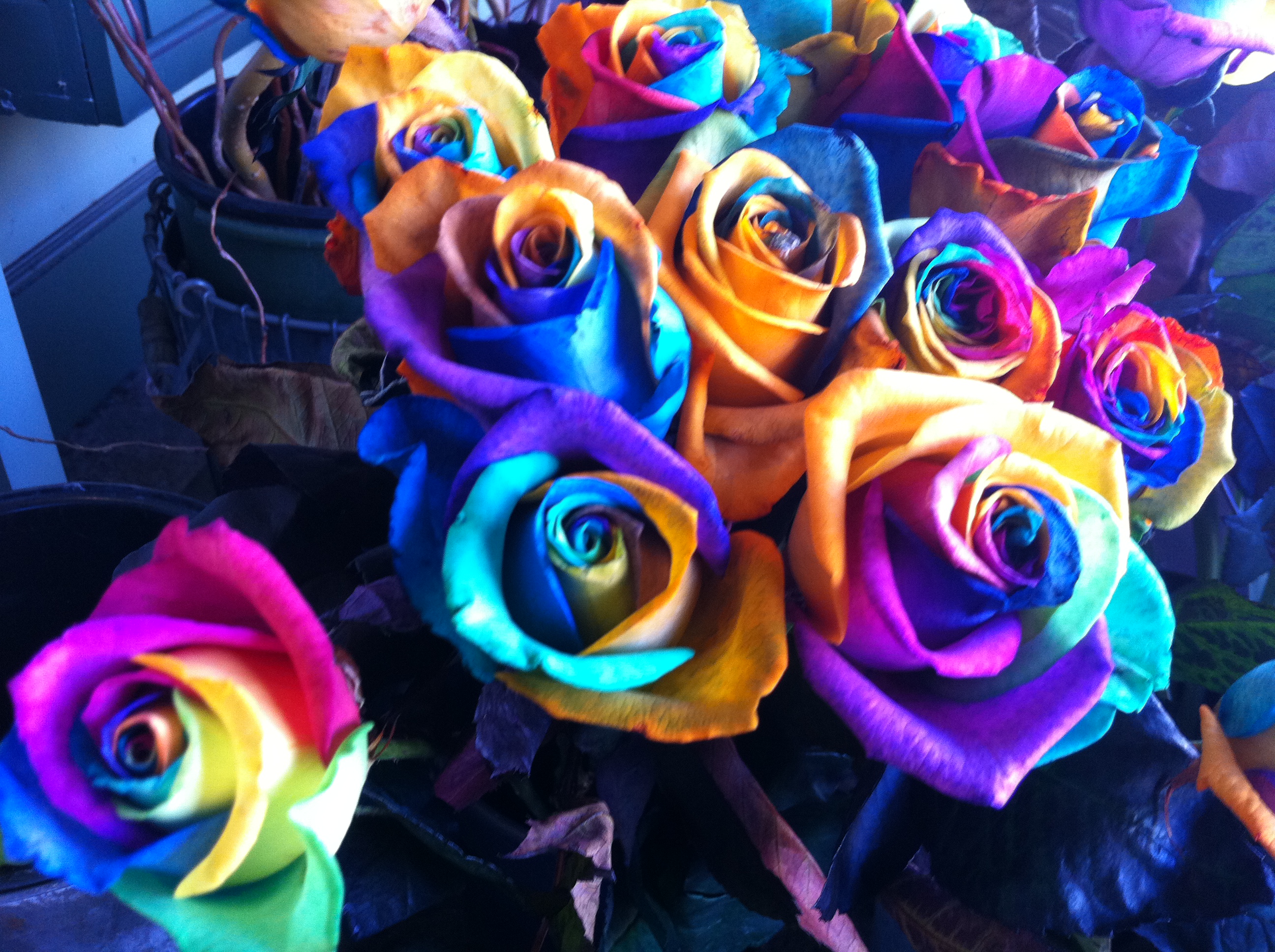 Радужные розы купить геншин. Букет из черных и радужных роз. Радужные розы Электрозаводская. Разновидности радужных роз Эквадор.